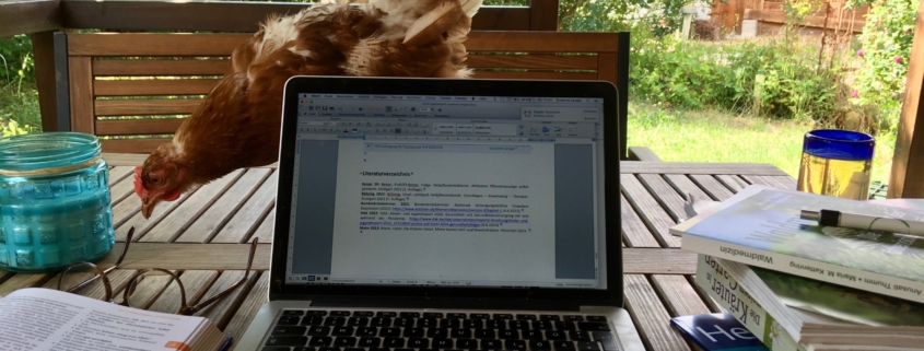 Frau Freud schreibt TEH-Arbeit